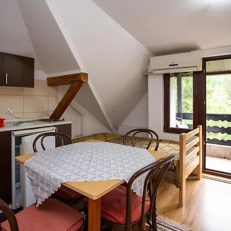 Stanojevic Апартаменты Сокобаня