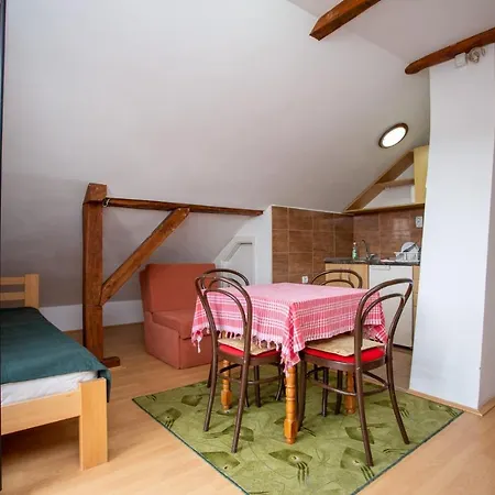 Stanojevic Сокобаня