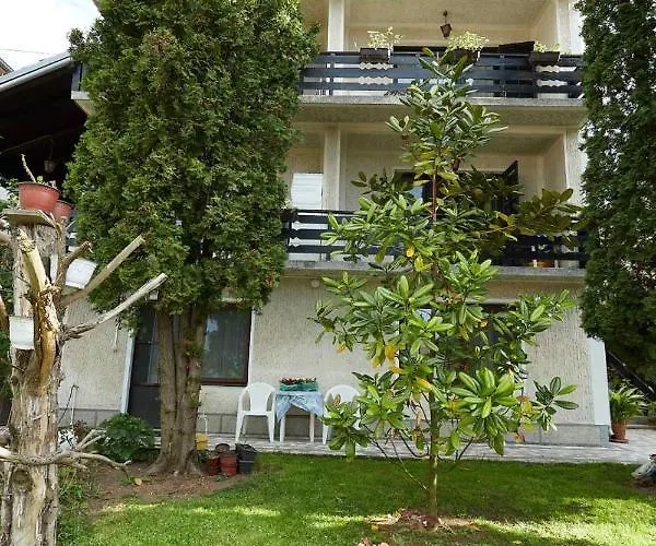 Stanojevic * Soko Banja