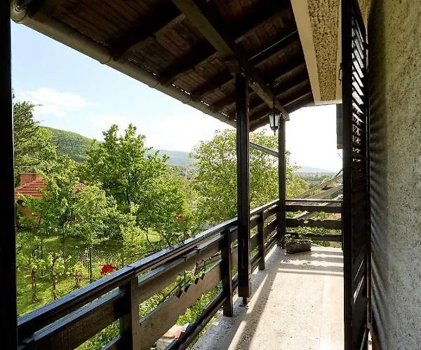 Stanojevic Сокобаня