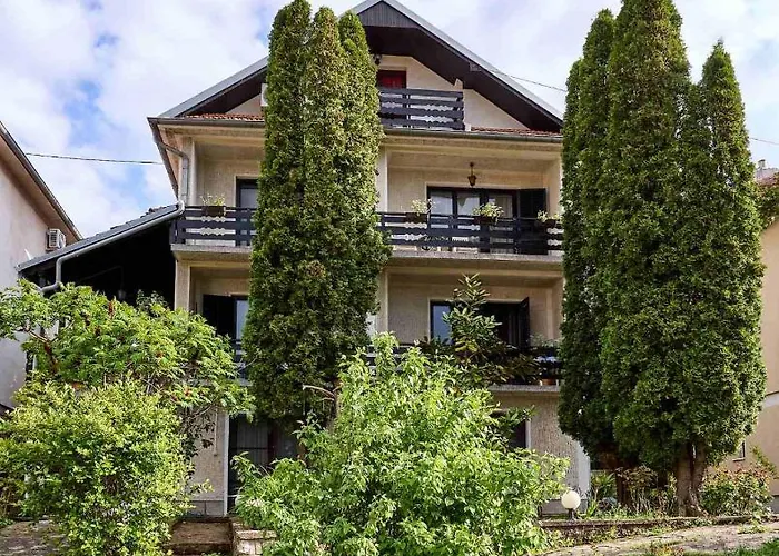 Stanojevic Soko Banja