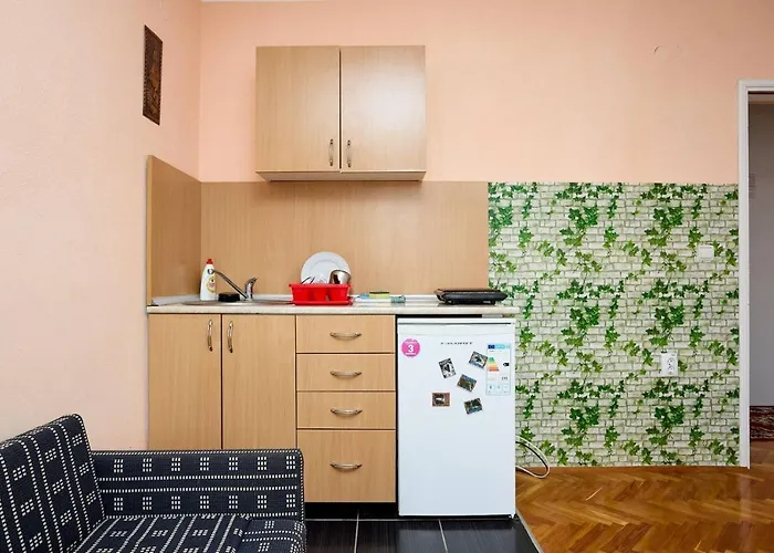 Stanojevic Сокобаня