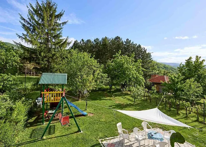 Stanojevic Soko Banja