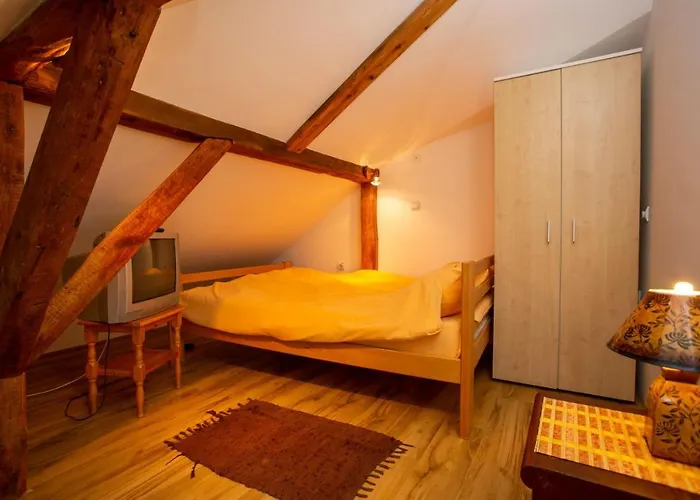 Stanojevic Soko Banja