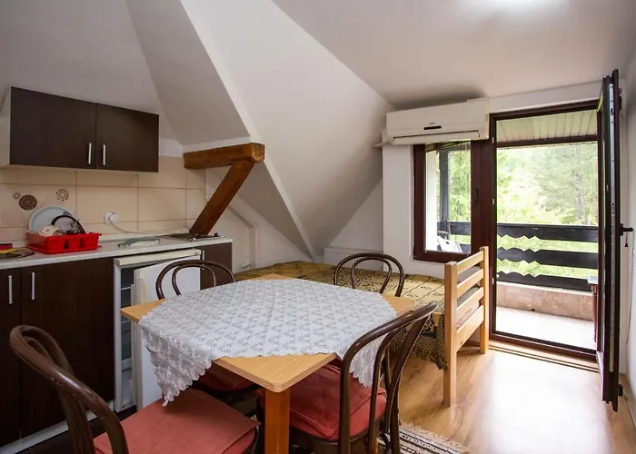 Stanojevic Apartment Soko Banja