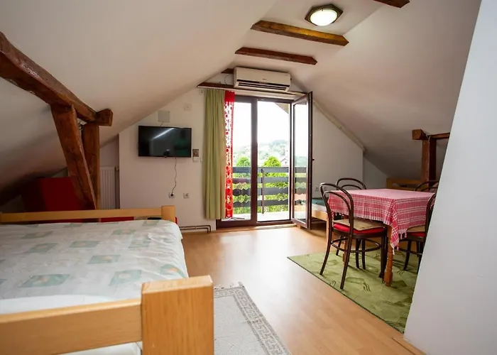 Stanojevic Apartment Soko Banja