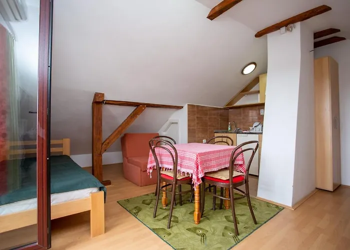 Stanojevic Soko Banja