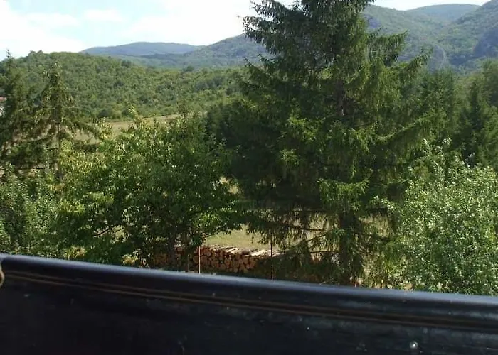 Stanojevic * Soko Banja