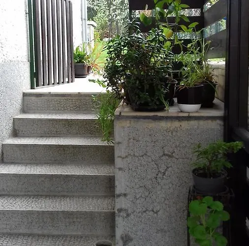 Apartment Stanojevic