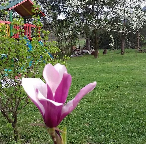 Апартаменты Stanojevic Сокобаня