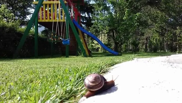 Stanojevic Сокобаня